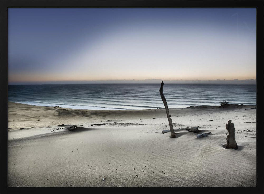 Reach for the sun | Poster