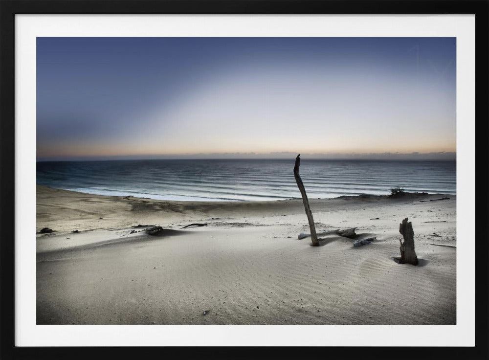 Reach for the sun | Poster