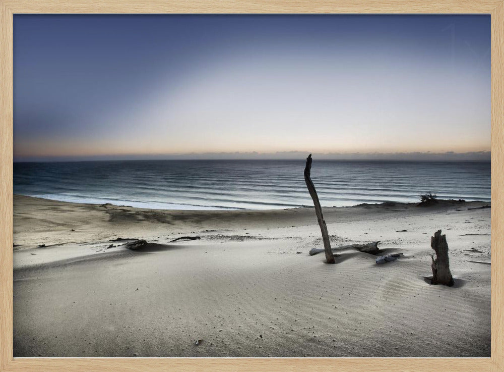 Reach for the sun | Poster