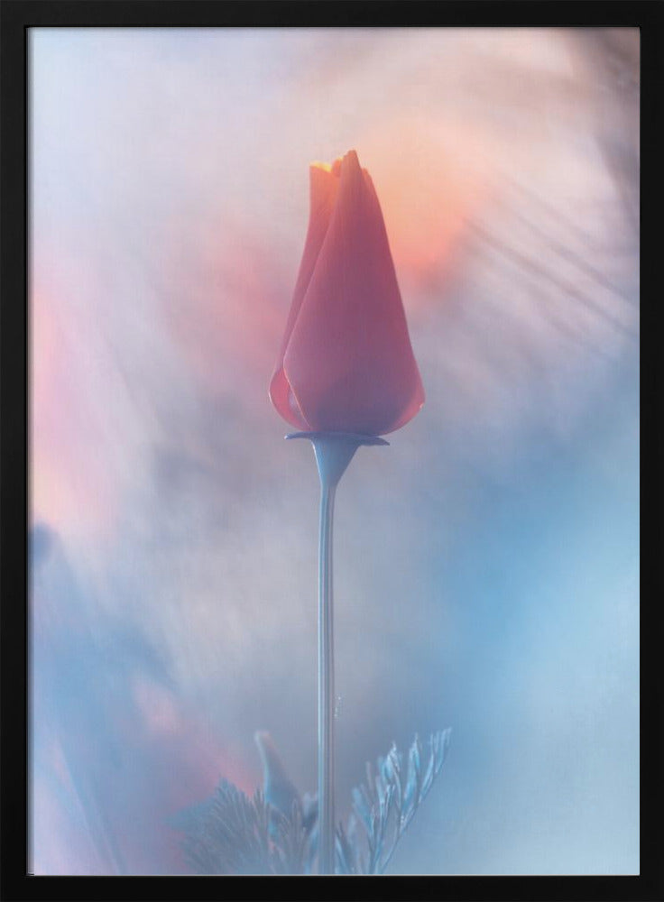 Douceur &amp; Volupté | Poster