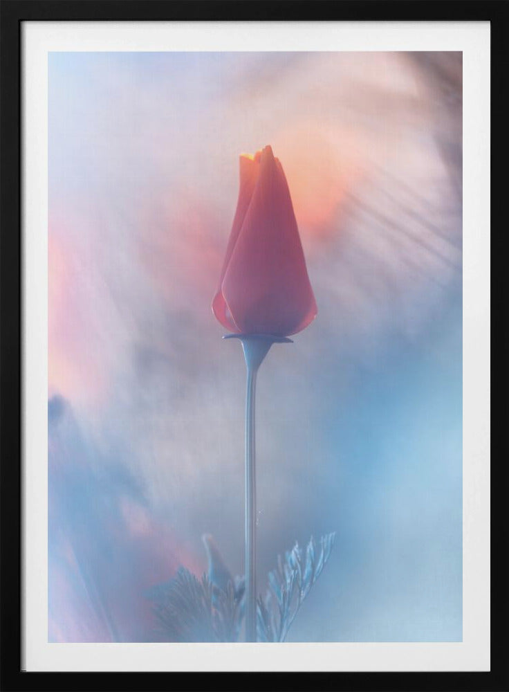 Douceur &amp; Volupté | Poster