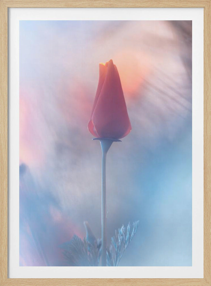 Douceur &amp; Volupté | Poster