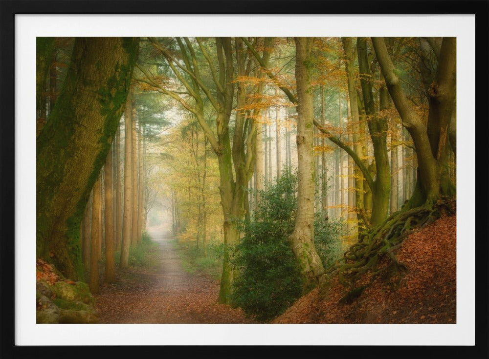 Following Fog | Poster