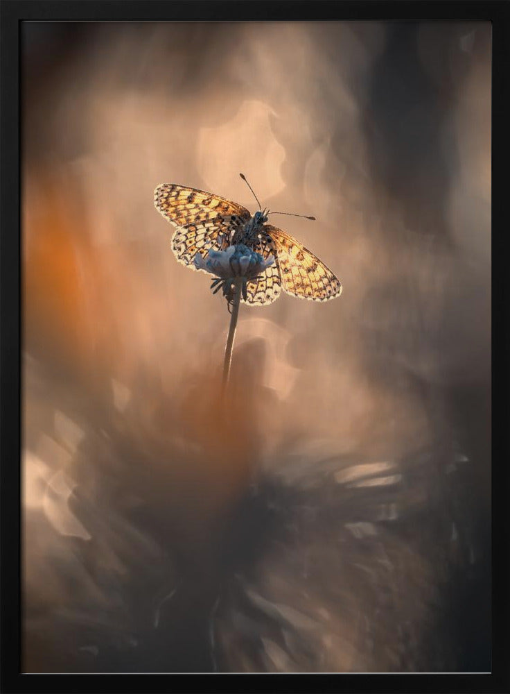 Naturally Framed | Poster