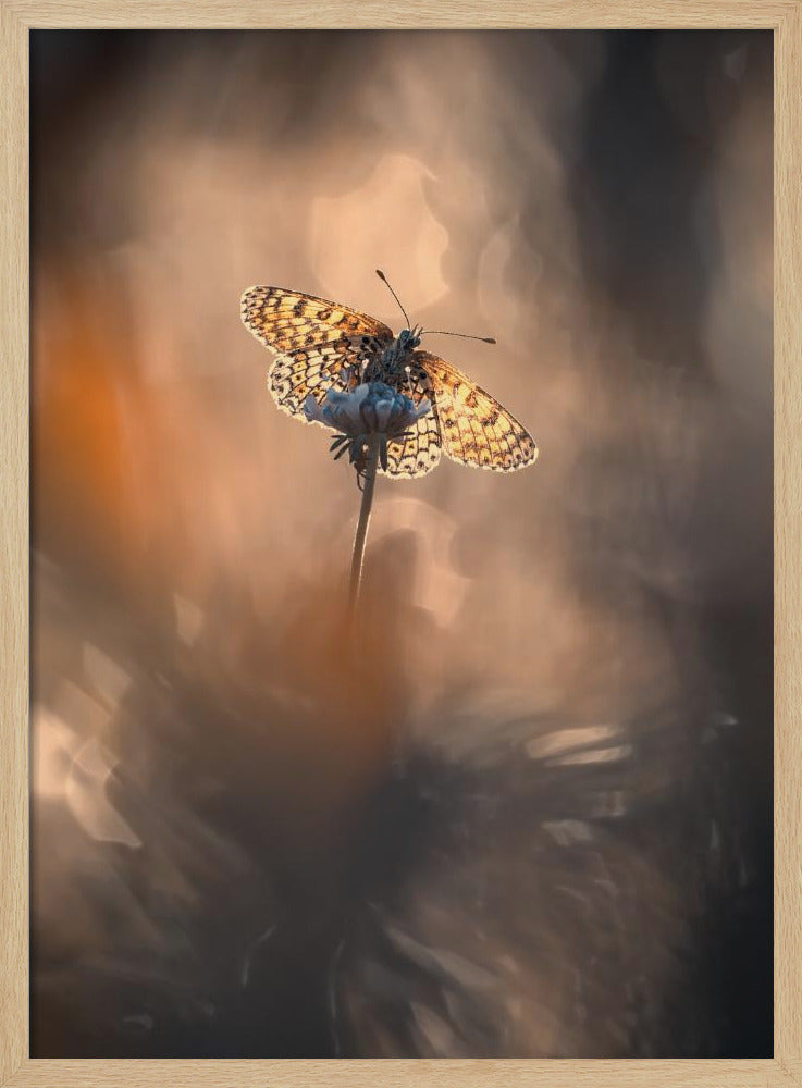 Naturally Framed | Poster