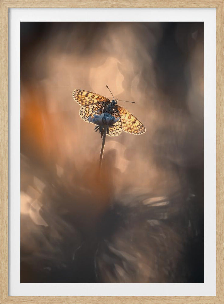 Naturally Framed | Poster