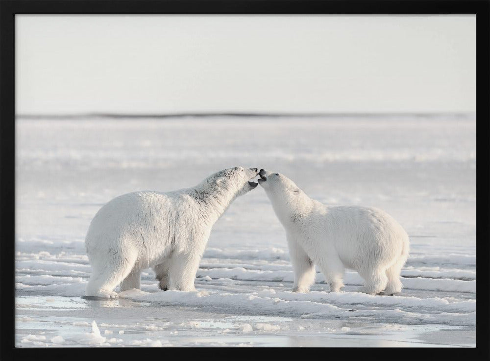 Morning celebration | Poster
