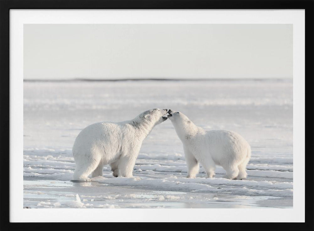 Morning celebration | Poster