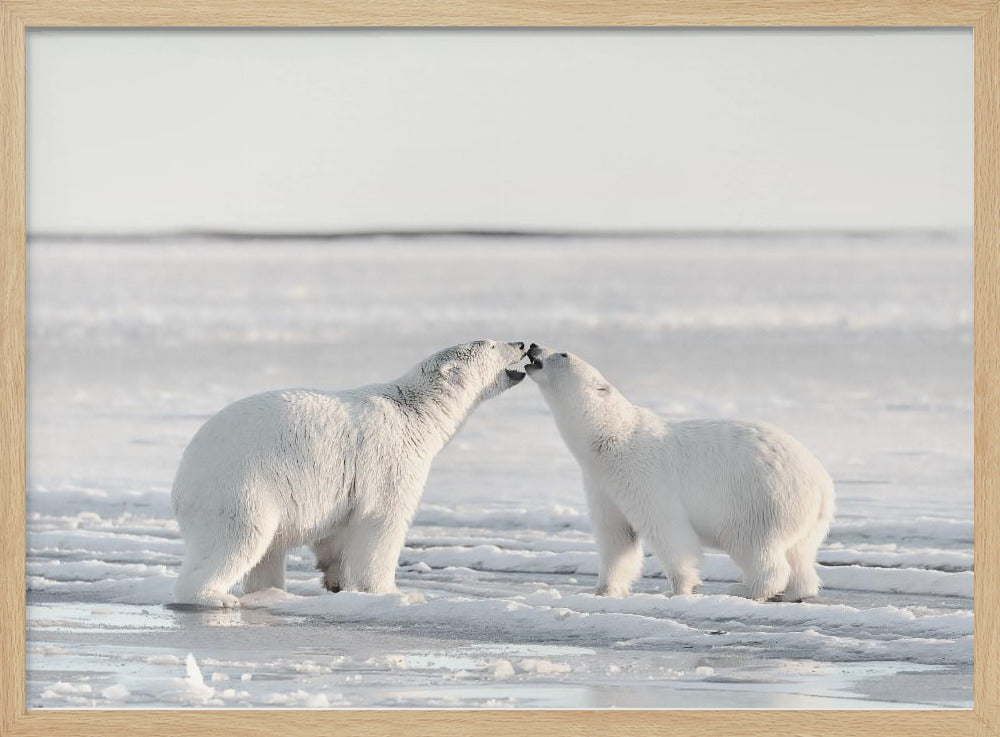 Morning celebration | Poster