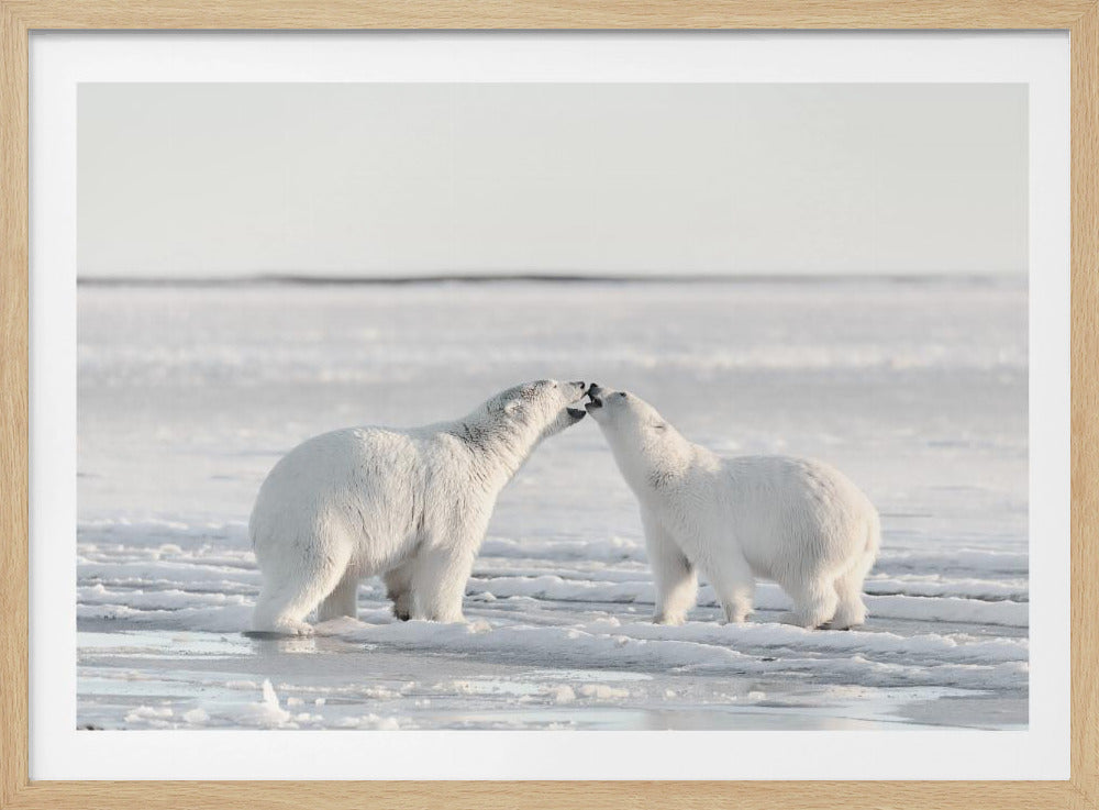 Morning celebration | Poster