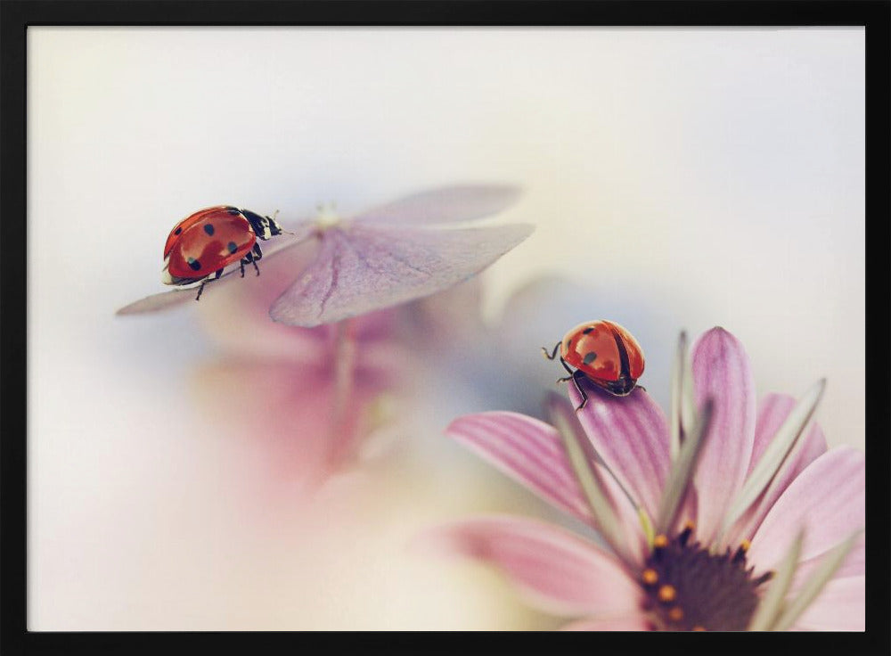 Last days of summer | Poster