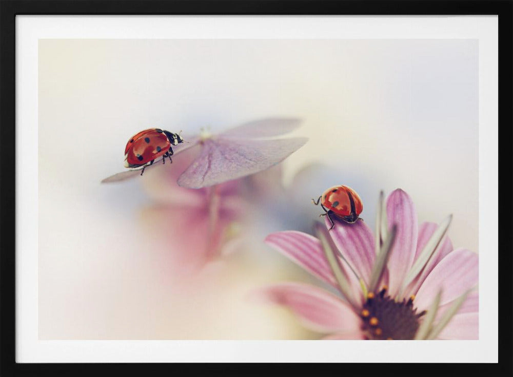 Last days of summer | Poster