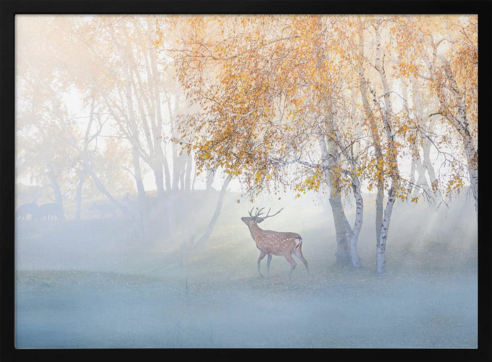 Elk Lost in Mist | Poster