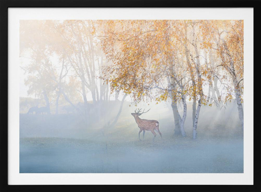 Elk Lost in Mist | Poster