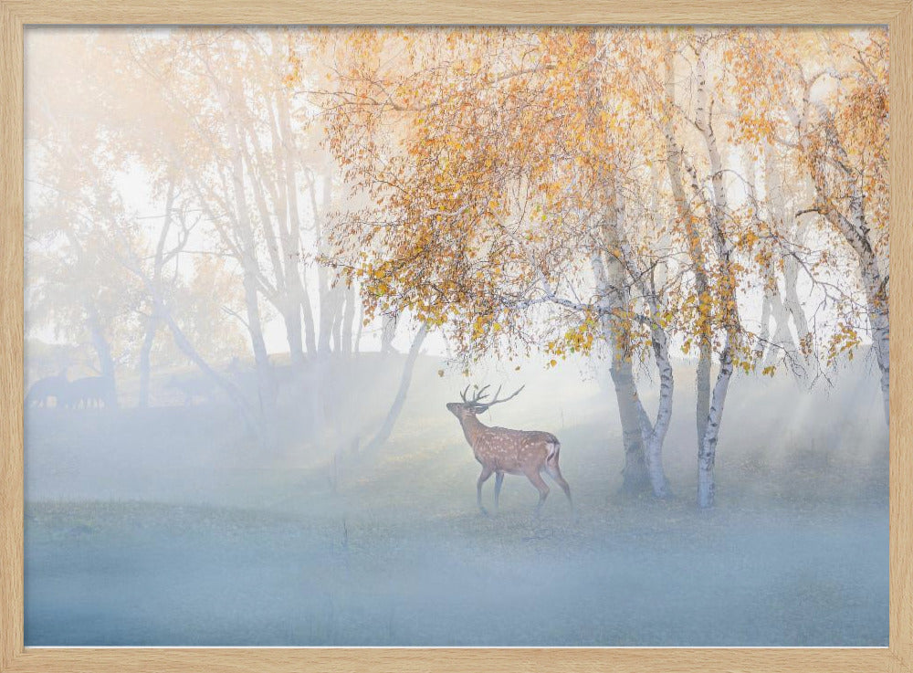 Elk Lost in Mist | Poster