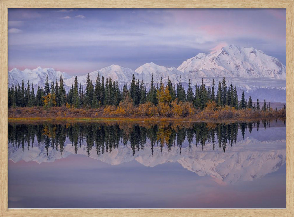 Denali Reflection | Poster