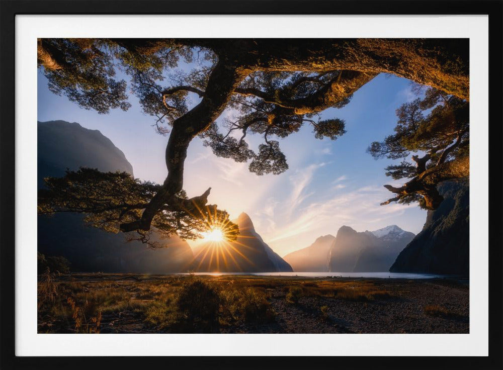 Sunny Day in Milford Sound | Poster