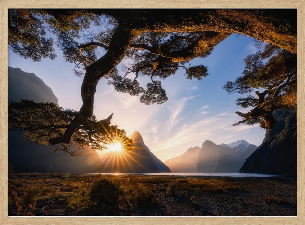 Sunny Day in Milford Sound | Poster