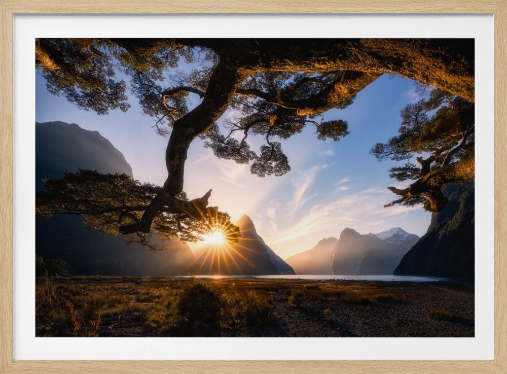 Sunny Day in Milford Sound | Poster