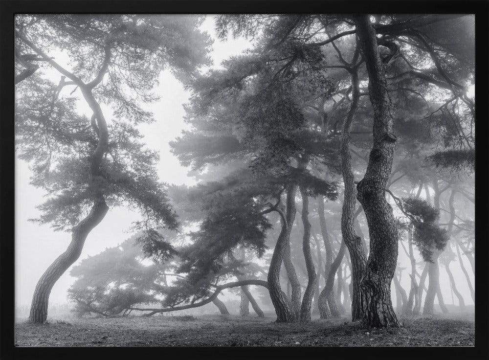 Endure for a hundred years | Poster