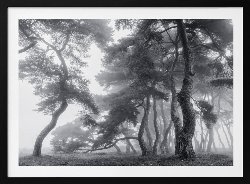 Endure for a hundred years | Poster