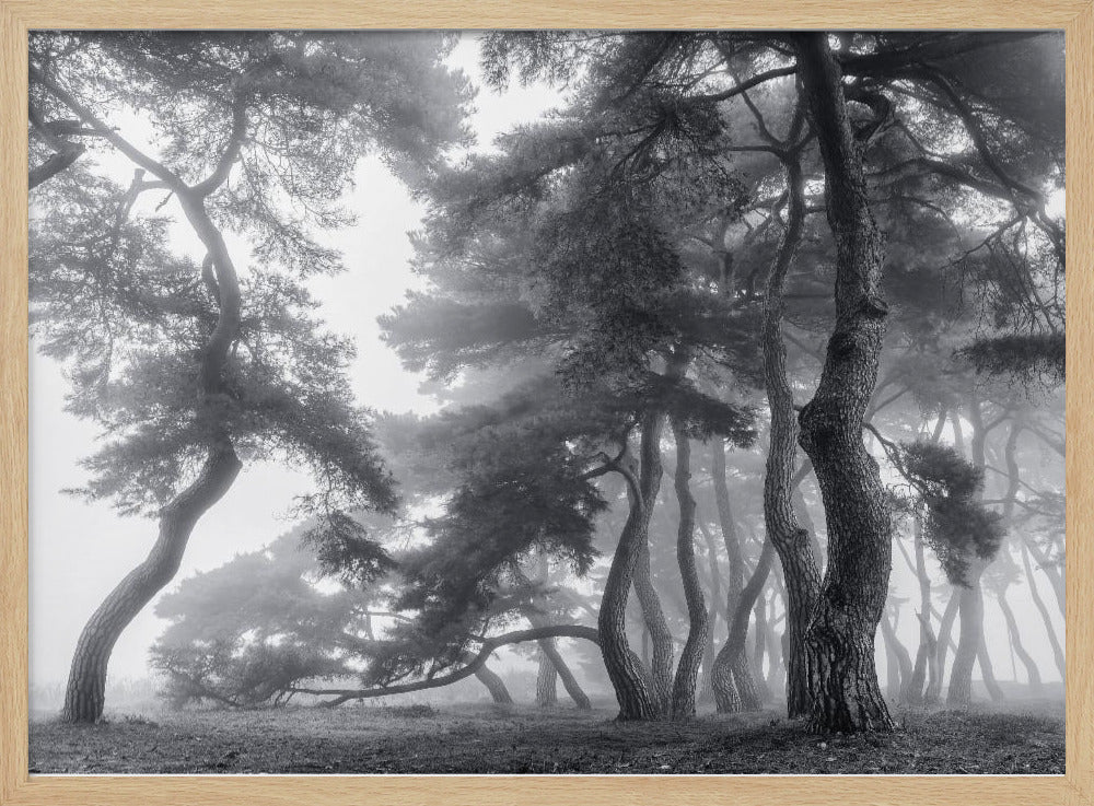 Endure for a hundred years | Poster