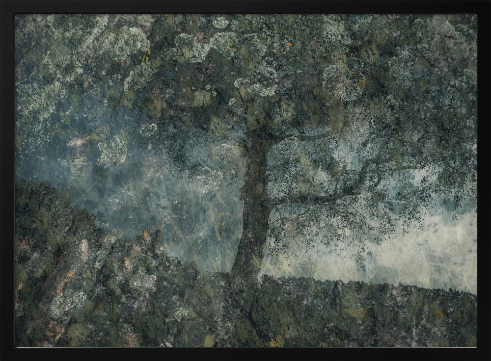 Rocks and a tree | Poster