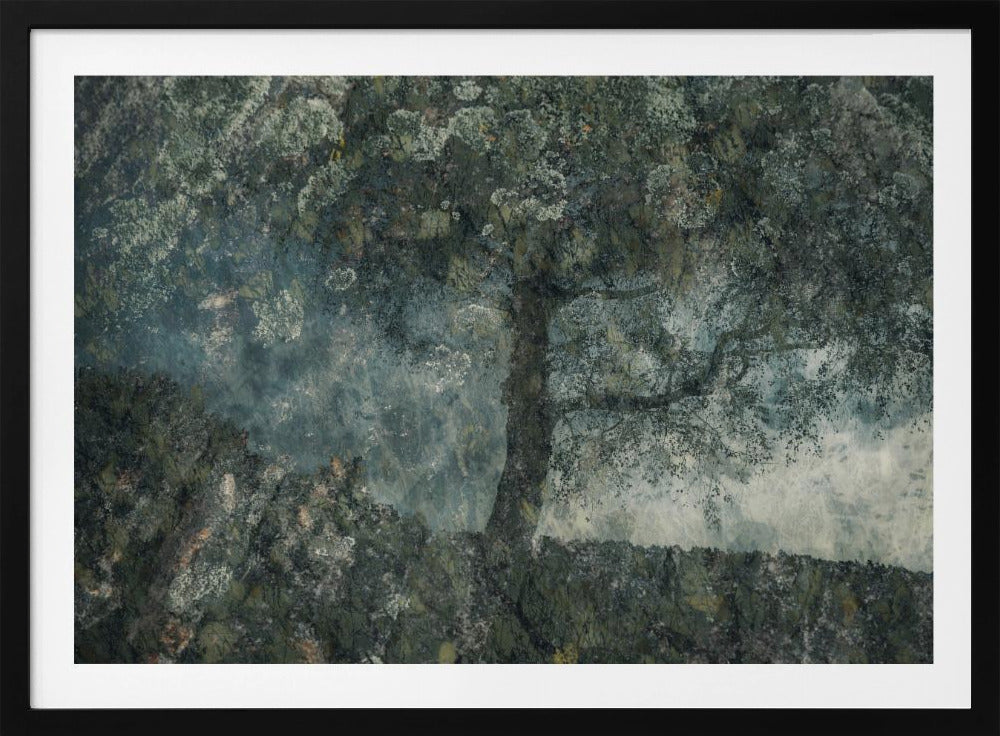 Rocks and a tree | Poster