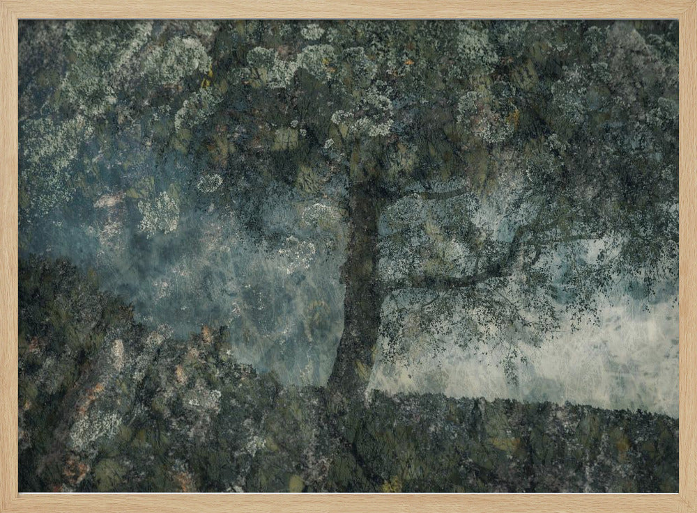 Rocks and a tree | Poster