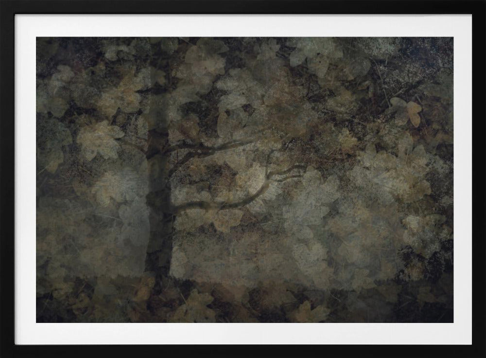 Dark forest | Poster