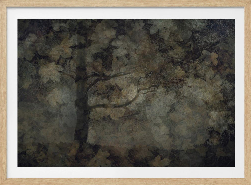 Dark forest | Poster