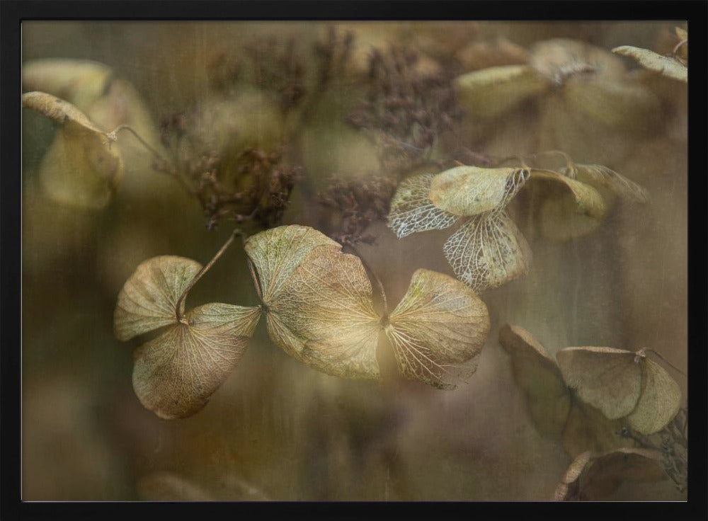 Winter is coming | Poster