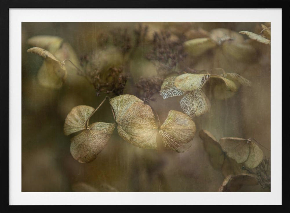 Winter is coming | Poster