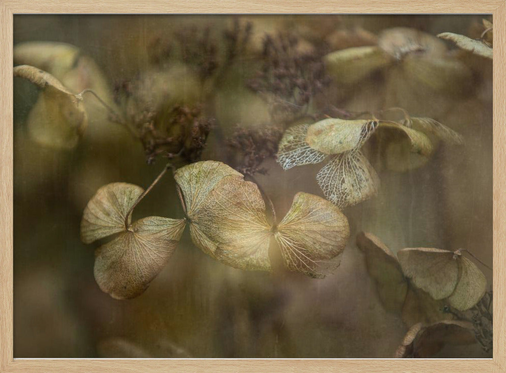 Winter is coming | Poster