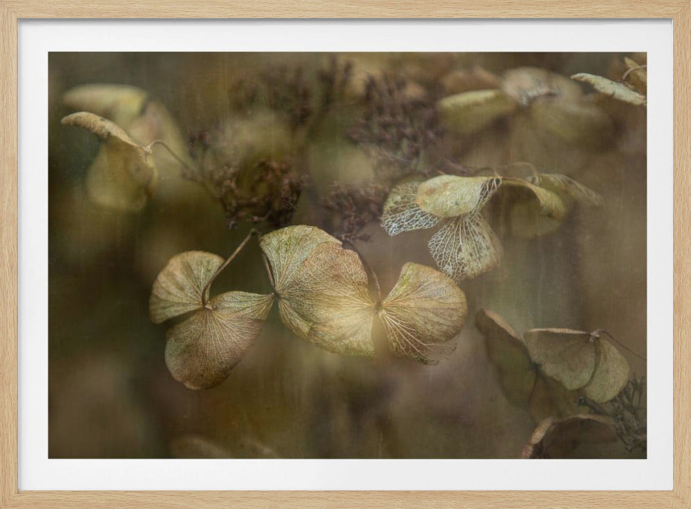 Winter is coming | Poster