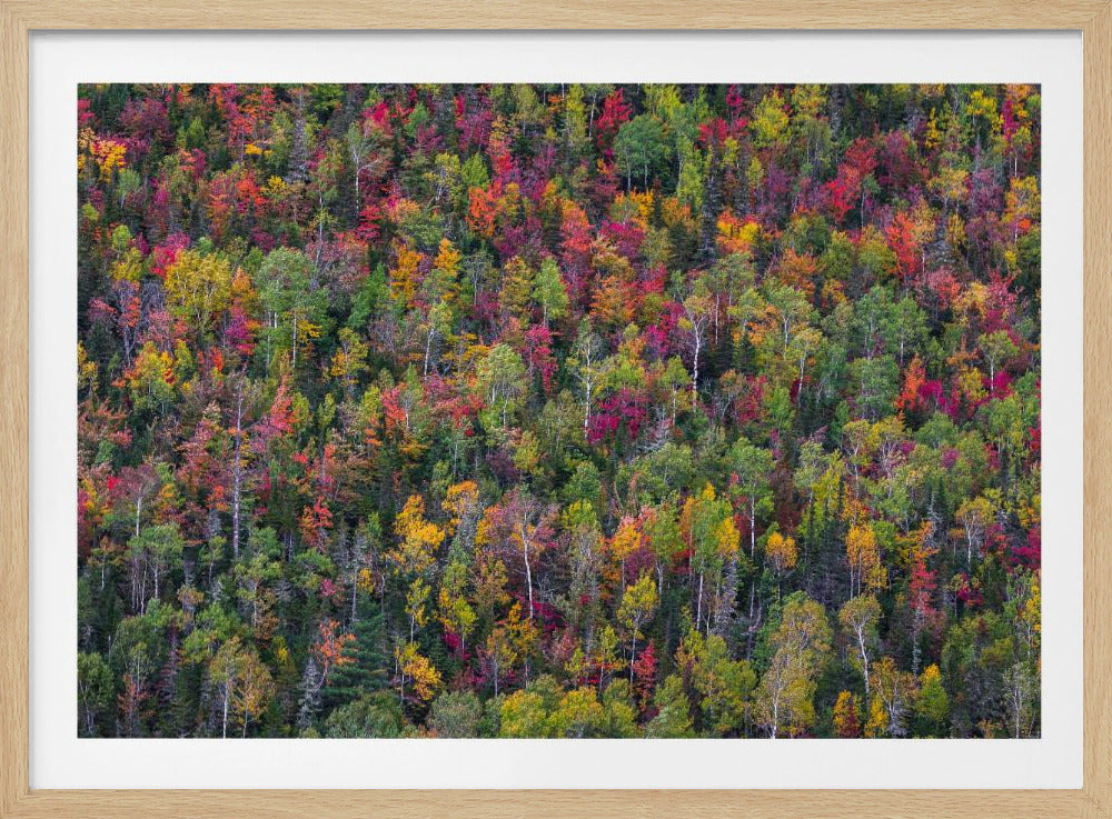 Color palette | Poster