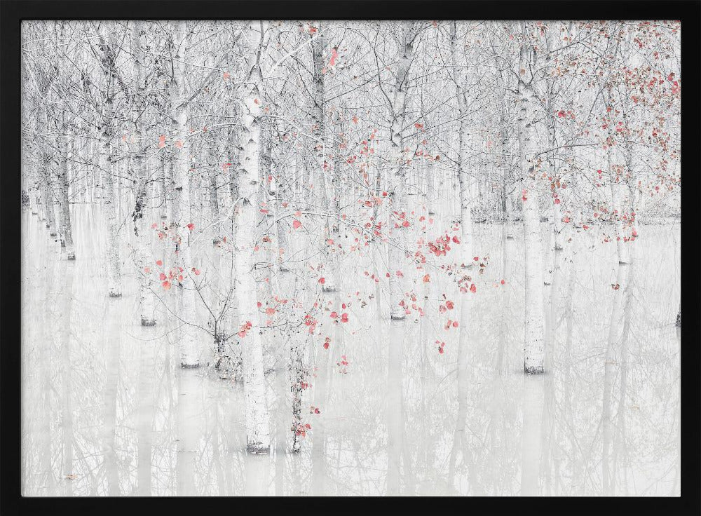 Red &amp; white | Poster