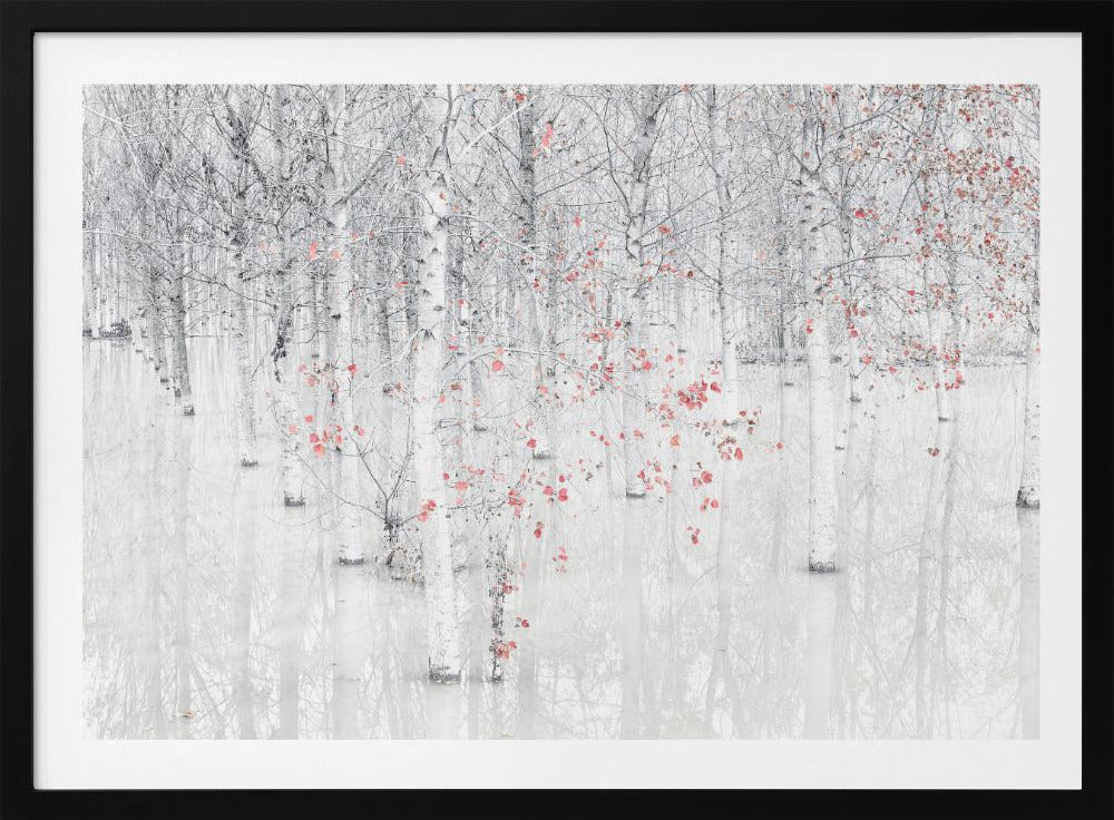 Red &amp; white | Poster