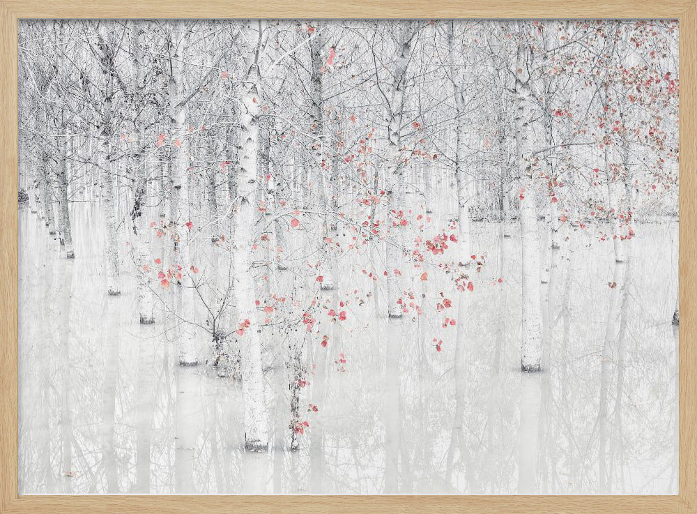 Red &amp; white | Poster