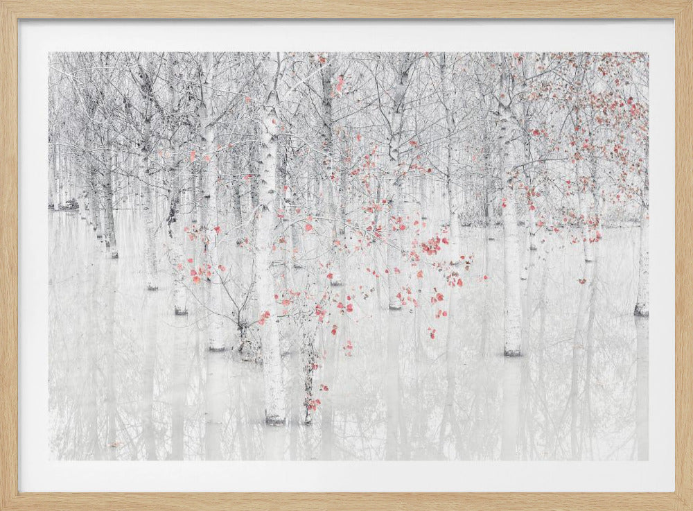 Red &amp; white | Poster