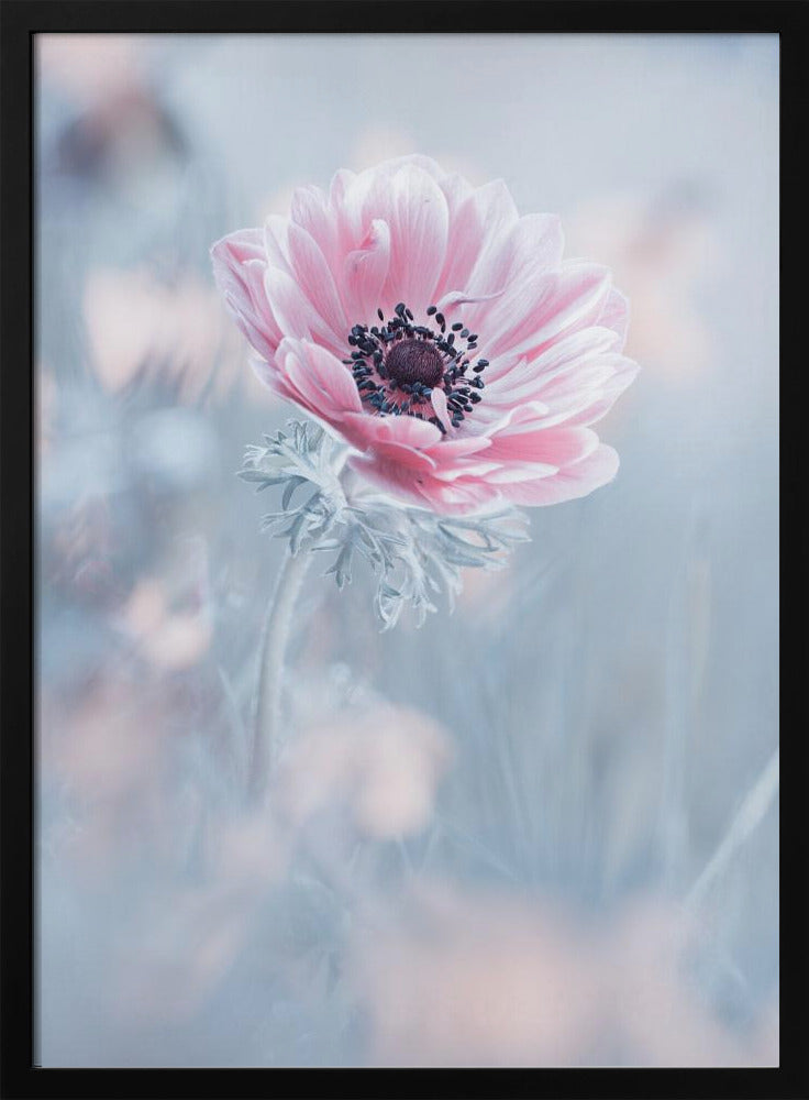 La reine de neiges | Poster