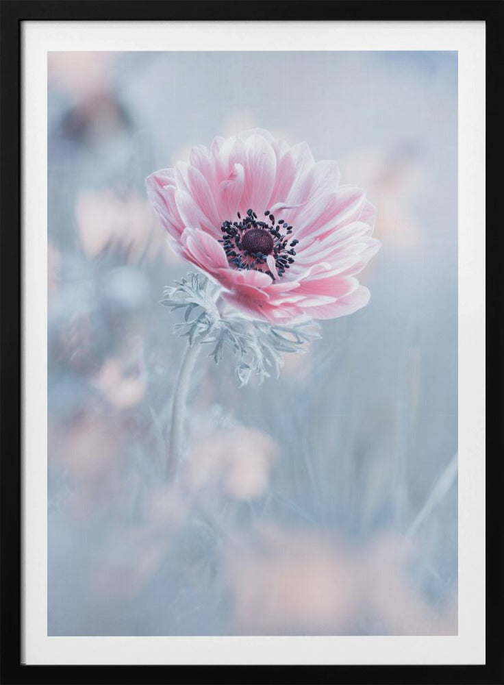 La reine de neiges | Poster