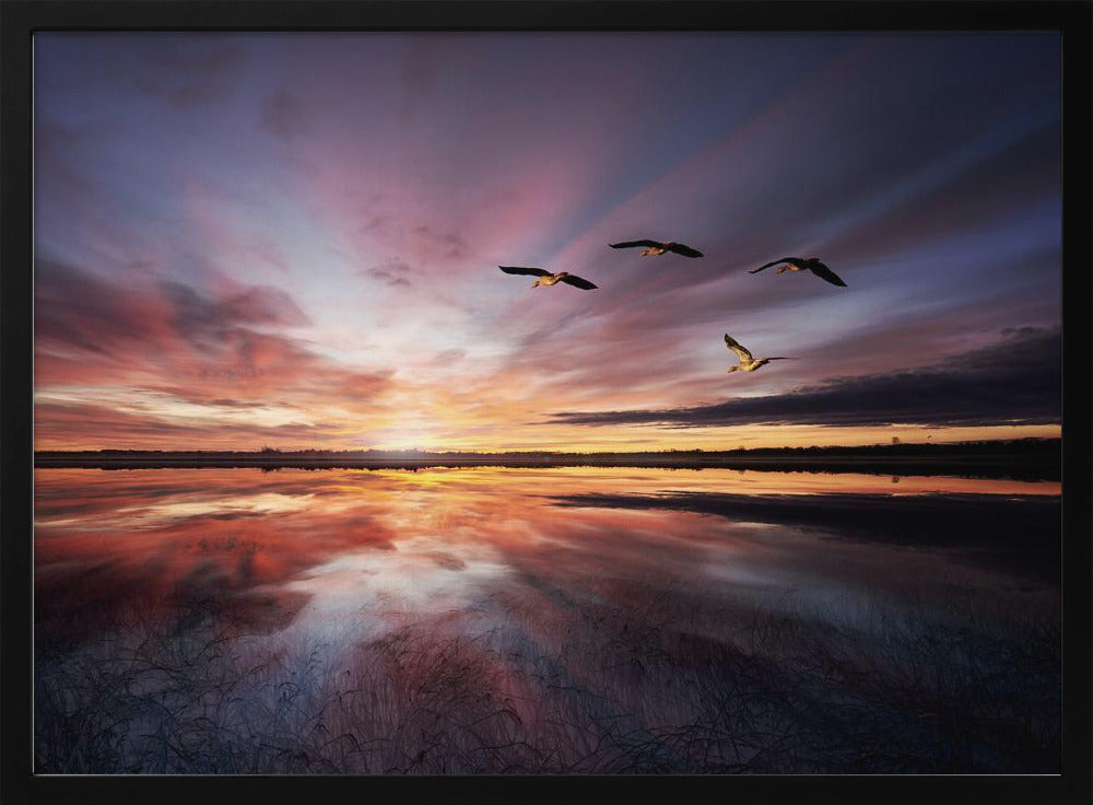 Morning mood.. | Poster