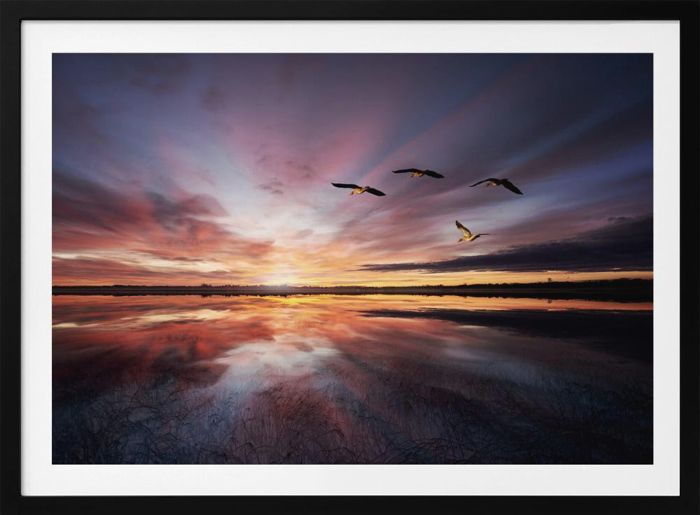 Morning mood.. | Poster