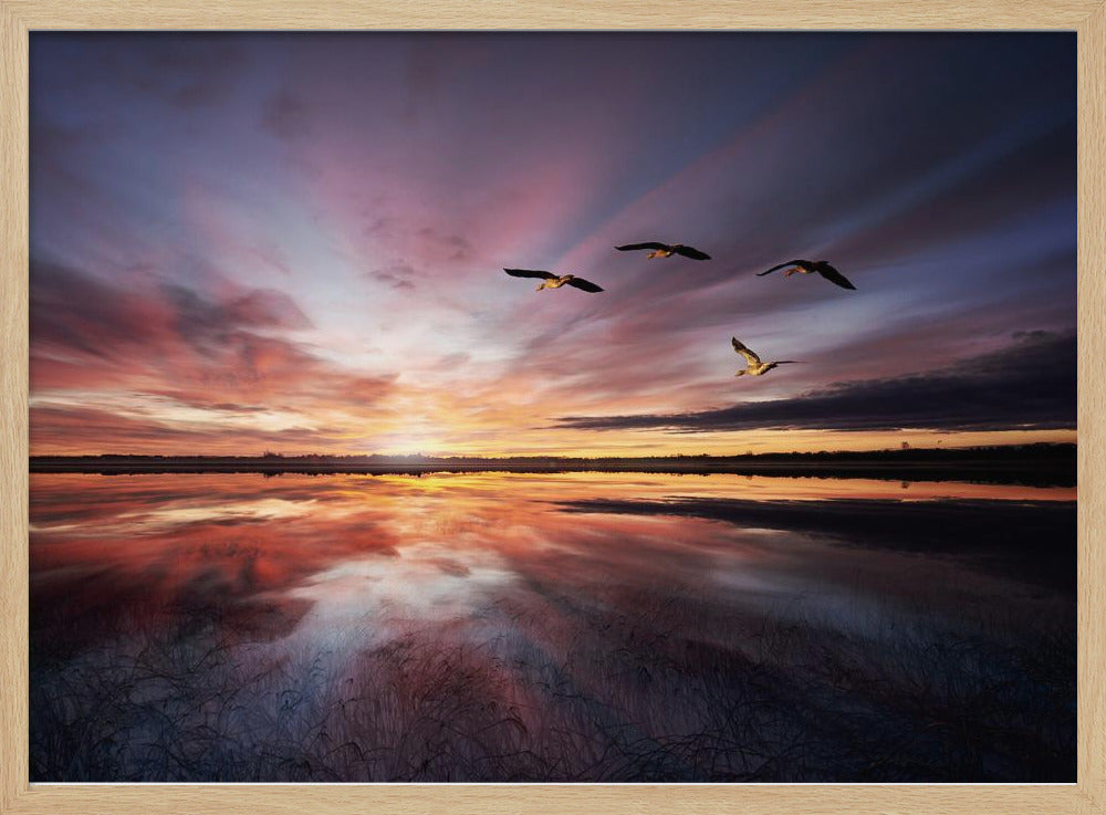 Morning mood.. | Poster