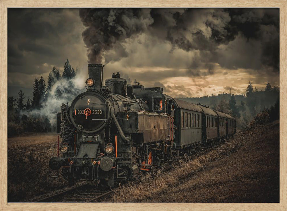 Gold digger train | Poster