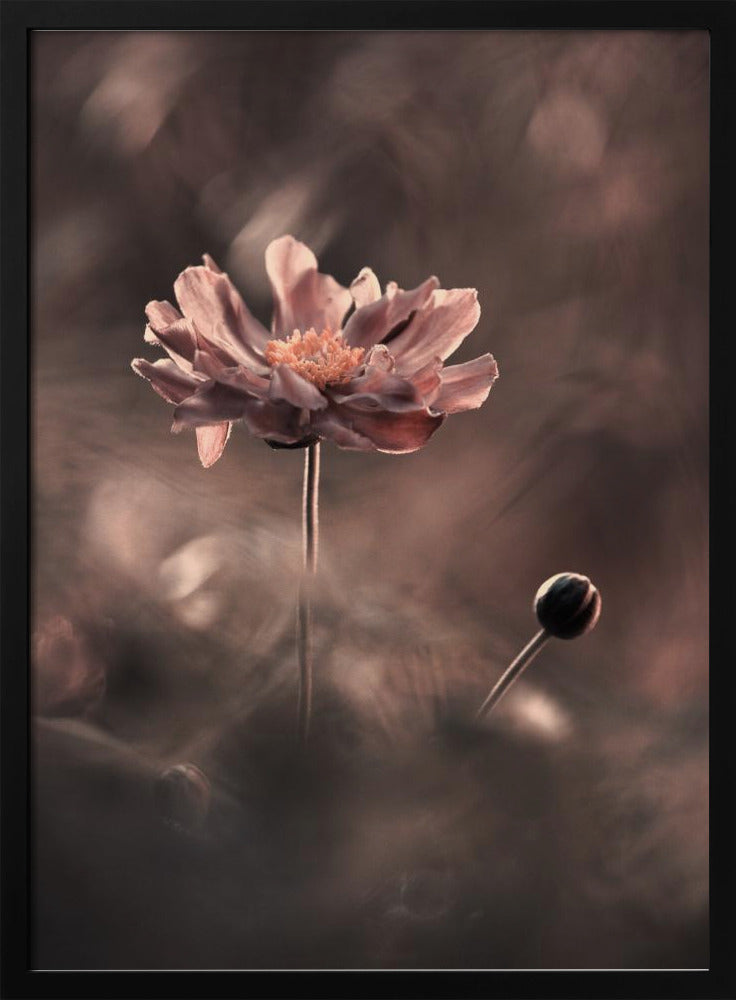 Un présent et un futur révolus. Un passé présent | Poster