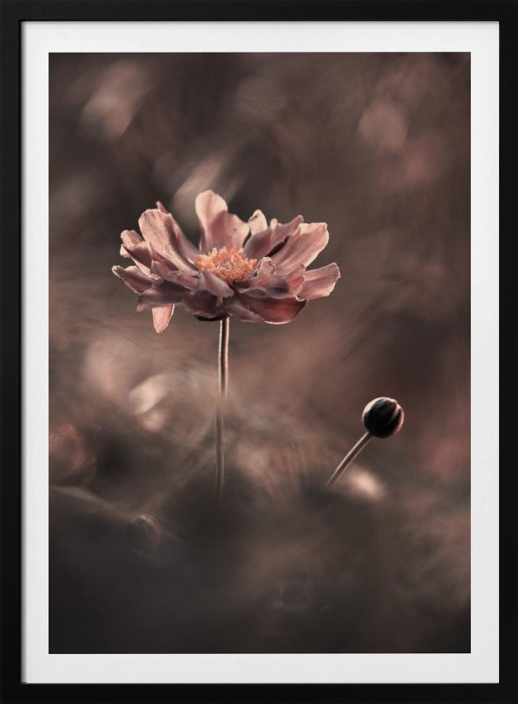 Un présent et un futur révolus. Un passé présent | Poster