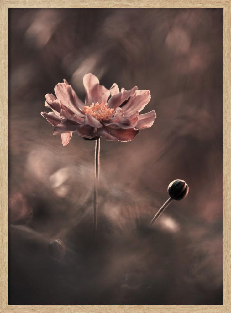 Un présent et un futur révolus. Un passé présent | Poster