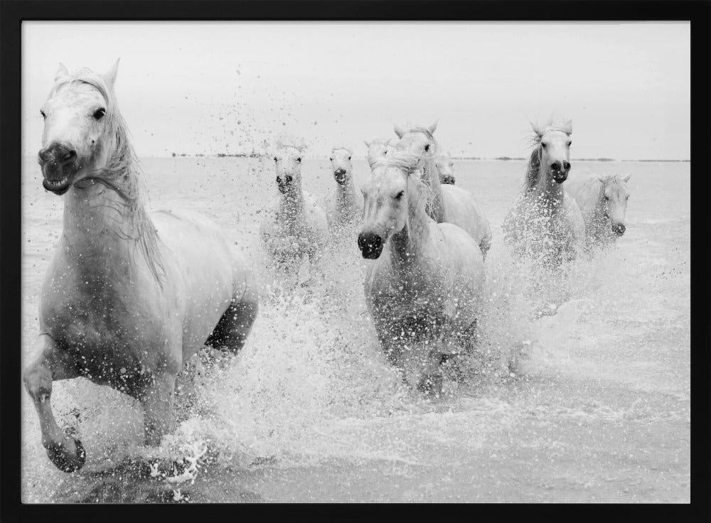 We are coming | Poster